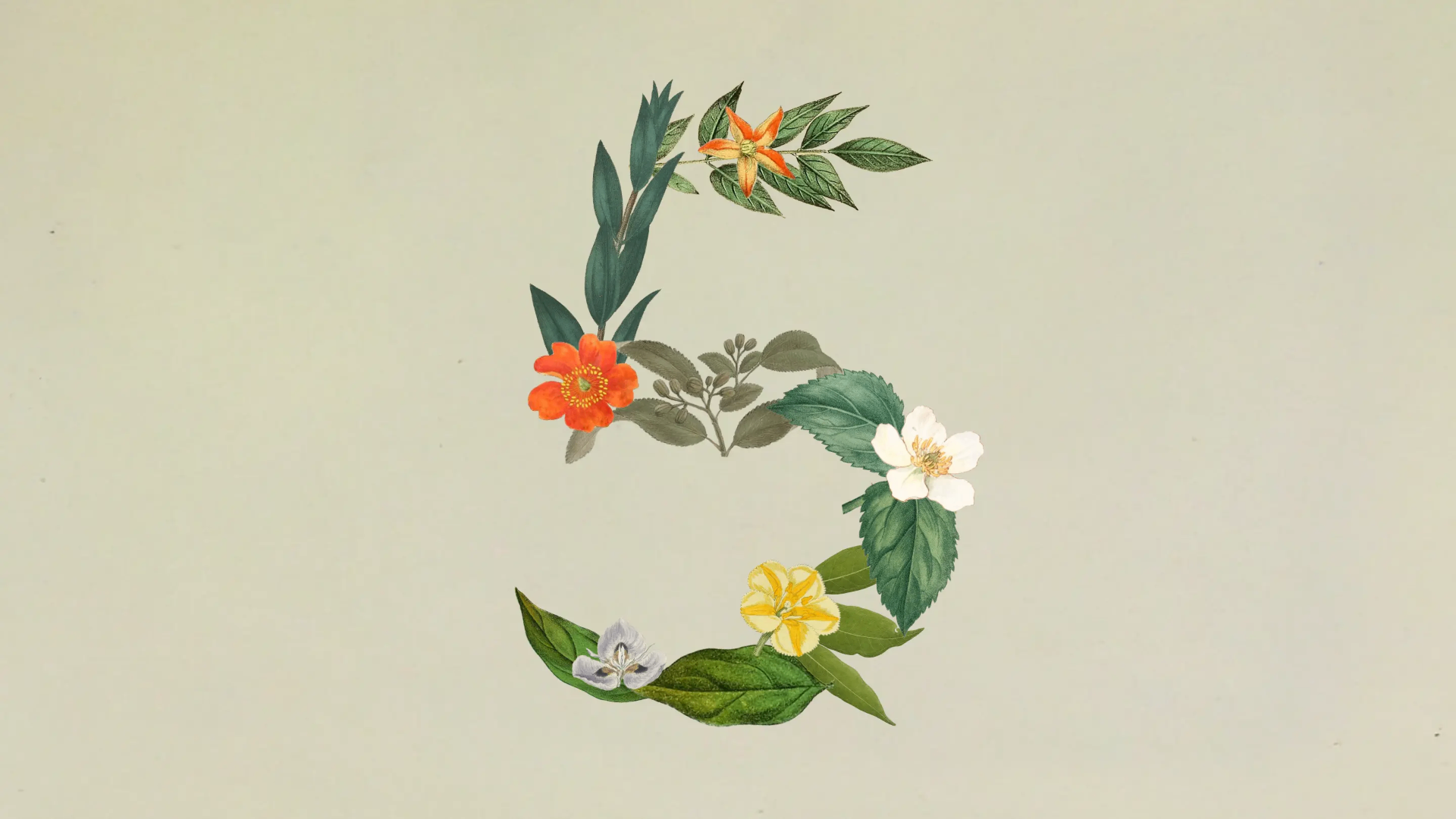 El nuevo modelo de Anthropic: Claude Sonnet 5